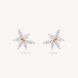 Marquise and Pear Cut Diamond Cluster Stud Earrings
