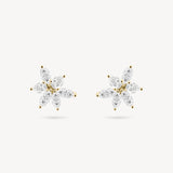 Marquise and Pear Cut Diamond Cluster Stud Earrings