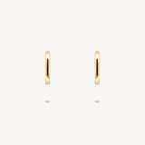 Gold Huggie Earrings